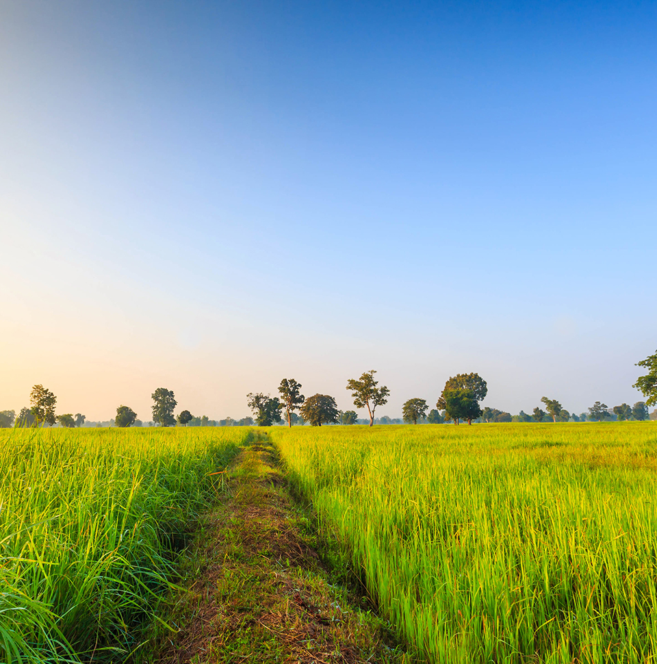 PREX9-Q20 background